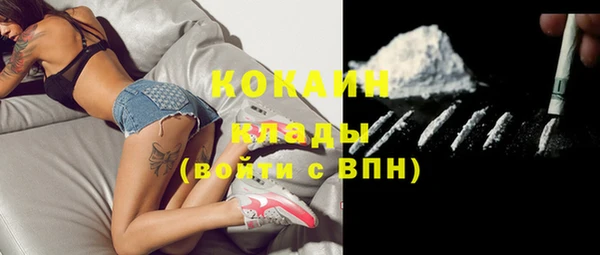 сатива Балахна