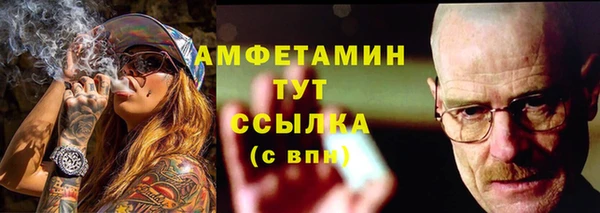 сатива Балахна