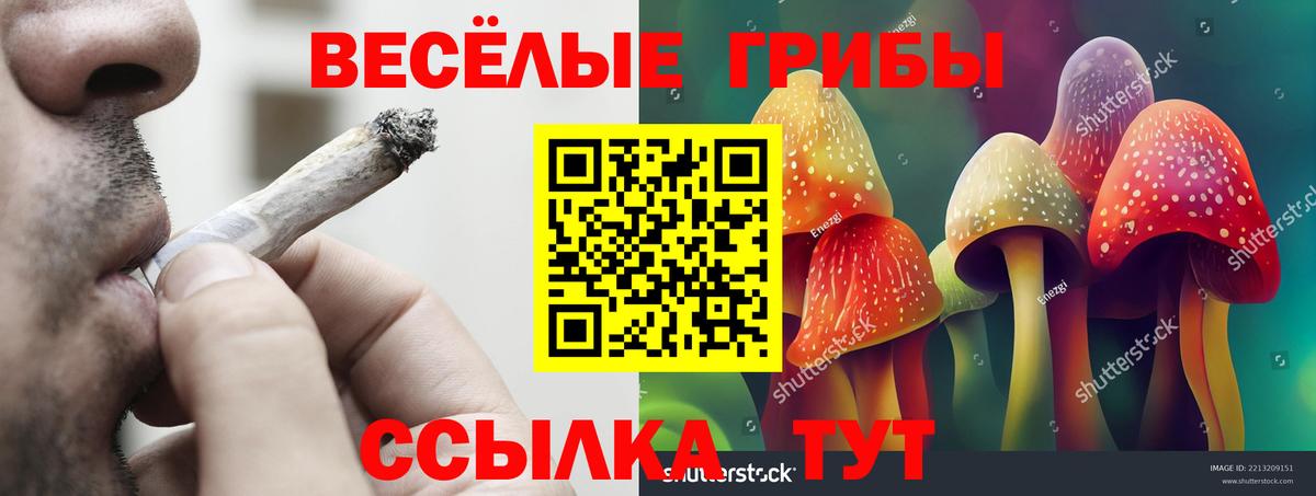 Кувандык  Псилоцибиновые грибы Magic Shrooms  купить закладку  Вход с VPN 